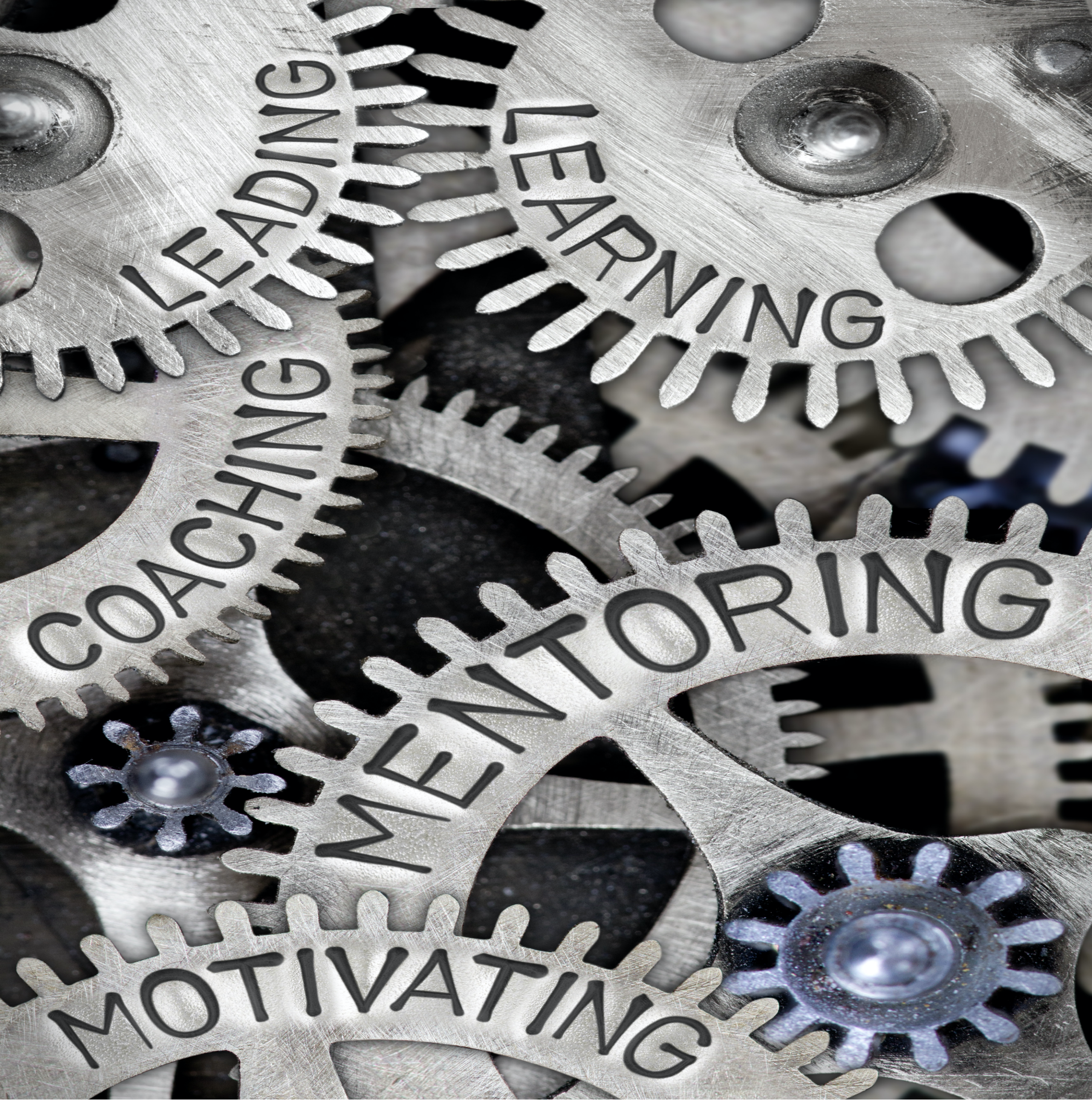 LEADING, LEARNING, COACHING, MENTORING, MOTIVATING cut into interlocking cogs